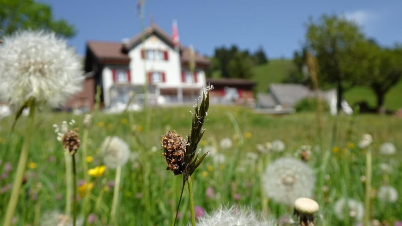 Gasthaus Schwand Ένγκελμπεργκ Εξωτερικό φωτογραφία