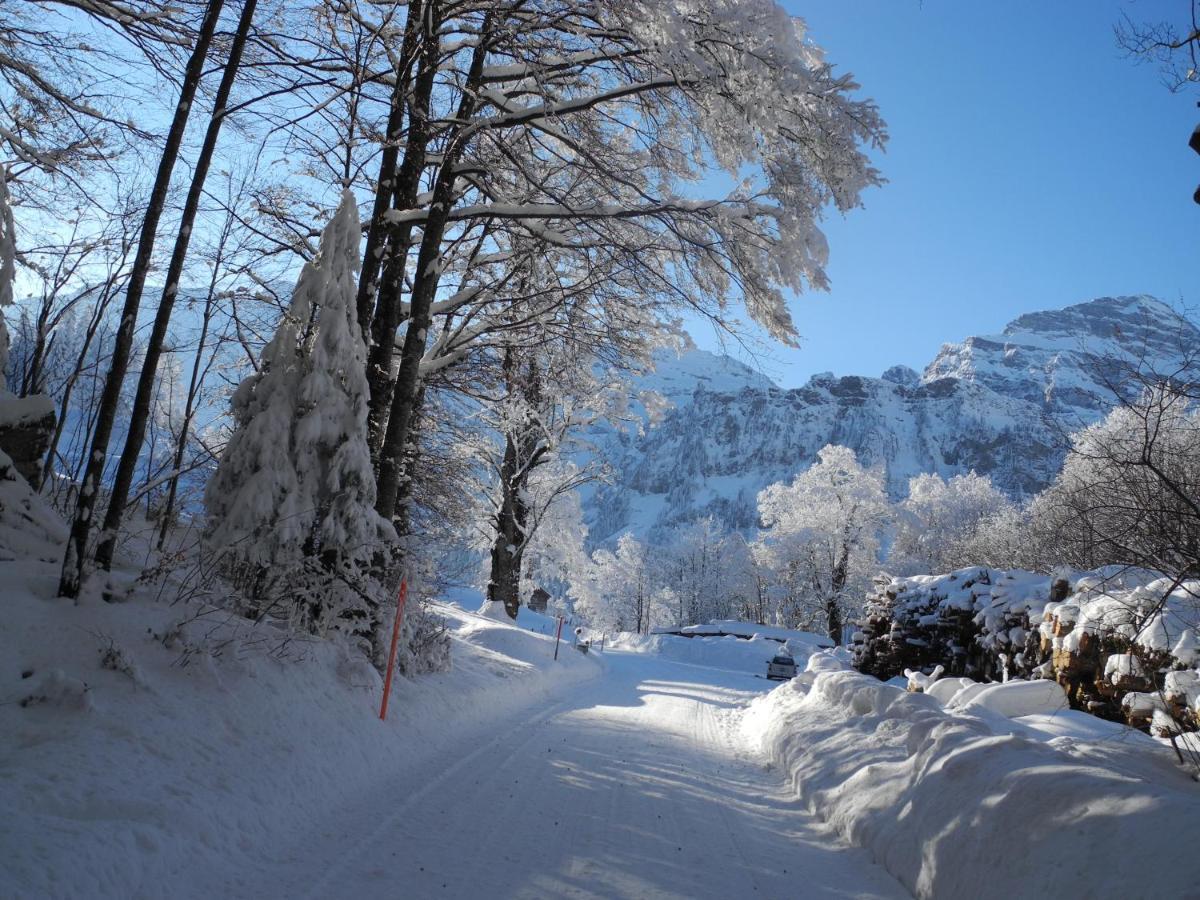 Gasthaus Schwand Ένγκελμπεργκ Εξωτερικό φωτογραφία